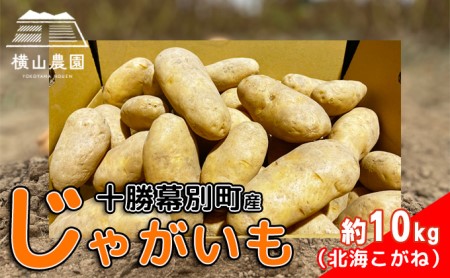 先行予約/2026年秋発送 北海道 十勝 幕別産 じゃがいも 北海こがね 約10kg 【横山農園】 野菜 根菜 フライドポテト ポテトチップス 変色しにくい 煮崩れしにくい 黄金色 北海道のジャガイモ 