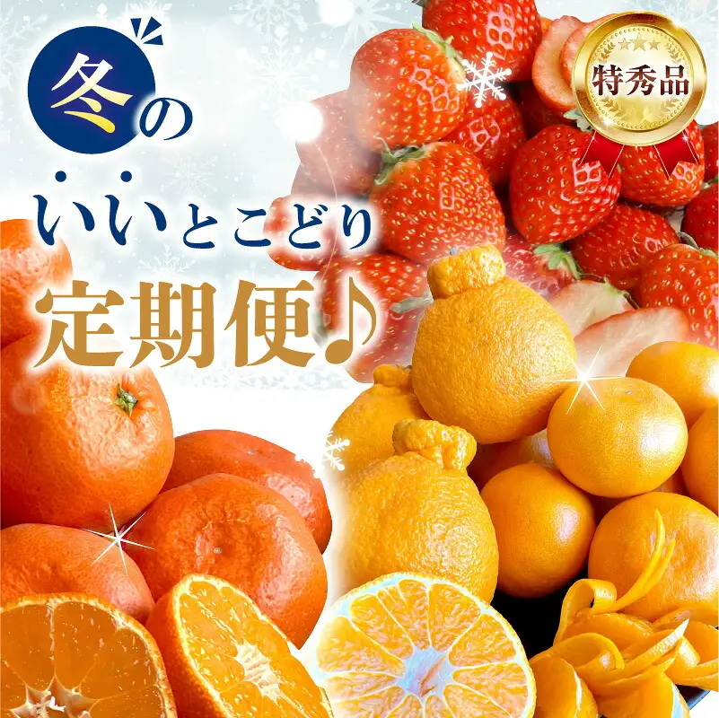 【特秀品!】冬のいいとこどり定期便♪