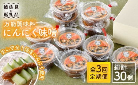【全3回定期便】にんにく味噌 10個セット 国産【万能調味料】【野下上絵】[LE18]