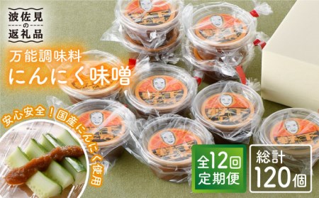【全12回定期便】にんにく味噌 10個セット 国産【万能調味料】【野下上絵】[LE20]