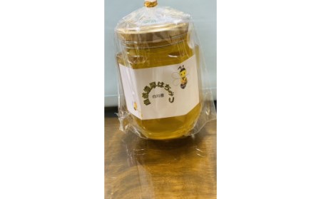 天然ハチミツ 250g	ハチミツ 蜂蜜 天然 純粋