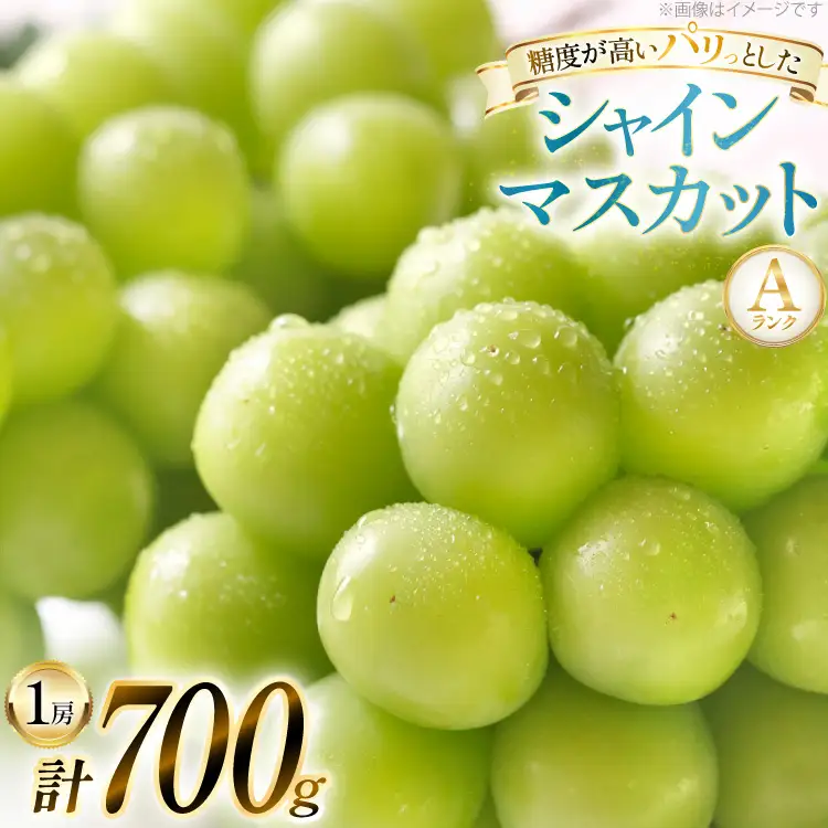 【期間限定発送】 シャインマスカット Aランク 1房 700g