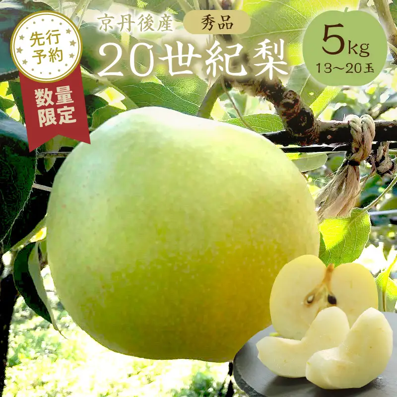 【先行予約／数量限定50】20世紀梨 秀品 5kg（13～20玉入り）（2026年9月上旬～発送）