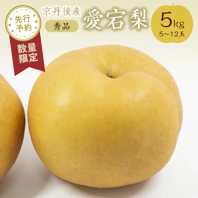 【先行予約／数量限定30】愛宕梨 秀品 5kg（5～12玉入り）（2026年11月下旬～発送）国産 あたご梨 赤梨 5〜12 個 玉 ふるさと 納税 梨 なし ナシ 5kg ふるさと 納税 先行予約 期間限定 ふるさと 納税 フルーツ くだもの 果物 農家直送
