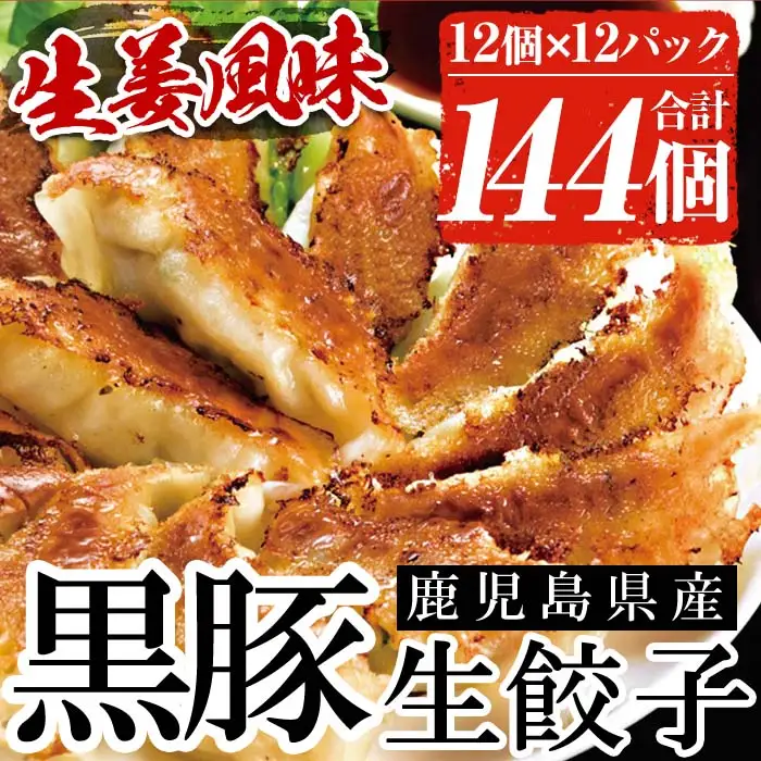 黒豚 餃子 144個 生姜風味 鹿児島 餃子【00-008-03】