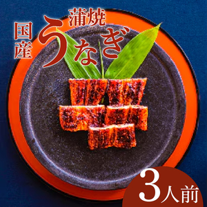 創業300年 うなぎ料理専門店 元祖本吉屋 国産 うなぎの蒲焼 3人前 計約210g（約70gx3）｜うなぎ 鰻 051-2428
