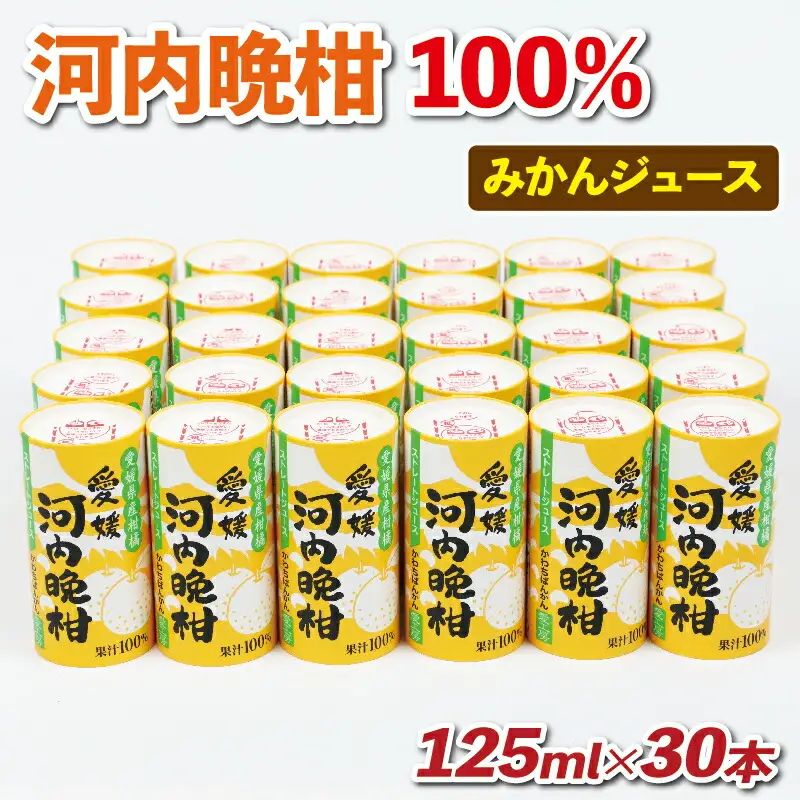 河内晩柑 ジュース 30本 愛工房 河内晩柑 H020-034004