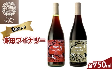 赤ワインセット ピノノワール メルロ 野生酵母 無濾過 赤ワインセット【2本】
