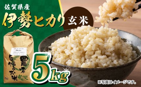 栽培期間中農薬不使用 令和7年産 伊勢ヒカリ 玄米 5kg /鶴ノ原北川農園 [UDL003] 玄米