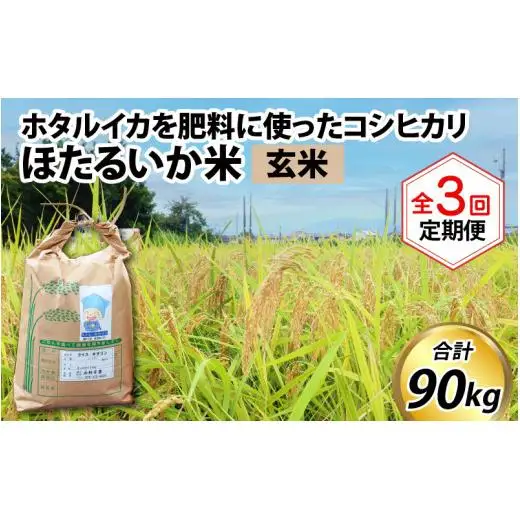【訳あり】ほたるいか米（玄米30kg）×3回 計90kg【3ヶ月定期便】 [J-021001]