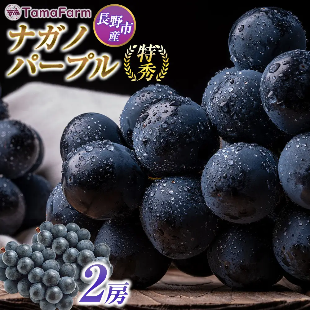 タマファーム　長野市産 ナガノパープル 特秀 2房【2026年9月以降出荷分】（タマファーム）  | ぶどう 葡萄 フルーツ 果物