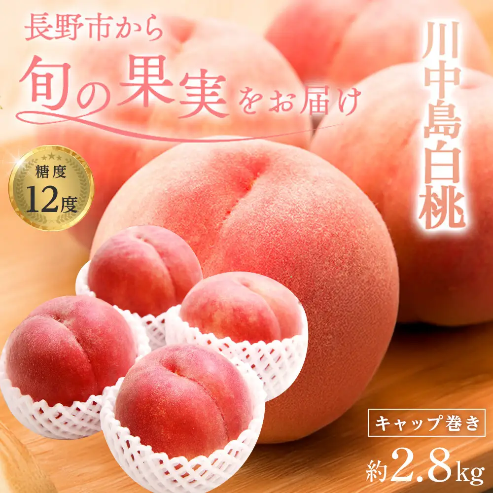 金オ岡村青果株式会社　桃 先行予約 川中島白桃 約2.8kg 糖度12度 白桃 フルーツ 果物 オンライン決済限定 | 桃 フルーツ 果実  人気 おすすめ ギフト プレゼント 送料無料 長野県 長野市 信州 信濃 ふるさと納税