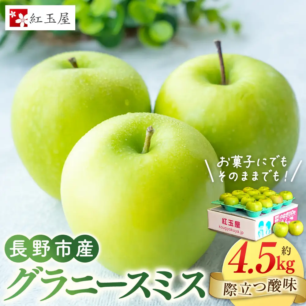 紅玉屋　際立つ酸味！ 長野市産 グラニースミス 約4.5kg （お菓子作り・酸っぱいりんご好き専用） 希少品種 林檎 クッキングアップル | りんご