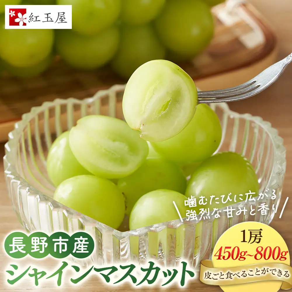 ★ 紅玉屋 長野市産大粒シャインマスカット1房（約450g～800g）【2026年9月上旬頃より順次発送】  |シャインマスカット ぶどう フルーツ