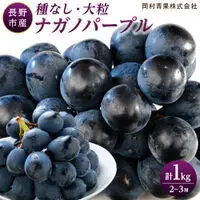 金オ岡村青果株式会社 長野市産 ナガノパープル1kg【2026年9月以降出荷分】果物 くだもの フルーツ デザート 種無し 大粒 旬 長野市 | ぶどう ぶどう