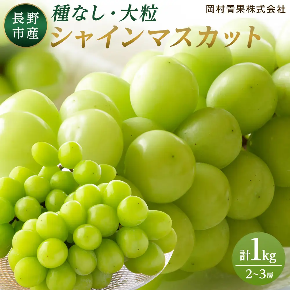 金オ岡村青果株式会社 長野市産 シャインマスカット1kg【2026年9月以降出荷分】フルーツ ぶどう 葡萄 果物 人気 種なし 数量限定 令和8年 産地 長野 | シャインマスカット