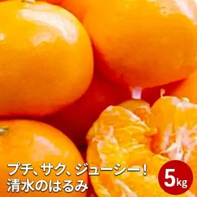 【2027年2月上旬より順次発送】プチ、サク、ジューシー！清水のはるみ 5kg 【配送不可：離島】◆