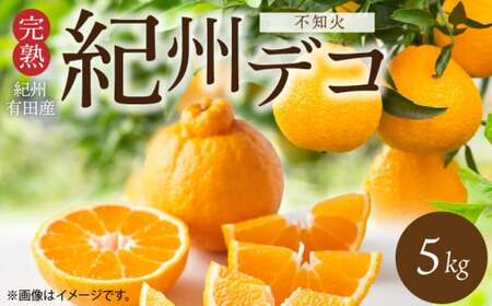 【2027年先行予約】期間限定 紀州デコ 約 5kg 完熟 紀州 有田産 色 形 味 香り 一級品 プリプリ 果肉 まろやか 甘さ ほどよい 酸味 ジューシー 旨味 不知火 人気品種 柑橘の王様 柑橘 果実 国産 食品 産地直送 お取り寄せ 和歌山県 湯浅町 送料無料_G7361