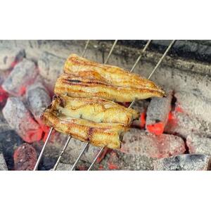 うなぎ職人体験キット！おうちでかん吉 海の幸 【配送不可：離島】■