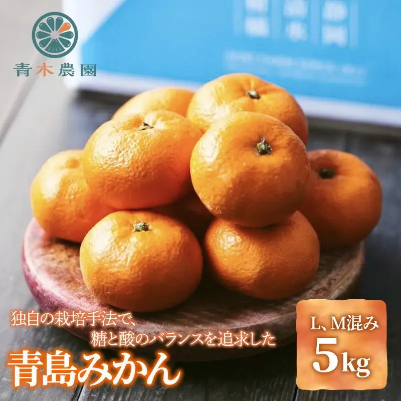 【1月中旬より順次発送】青木農園 青島みかん 5kg【配送不可：離島】◇