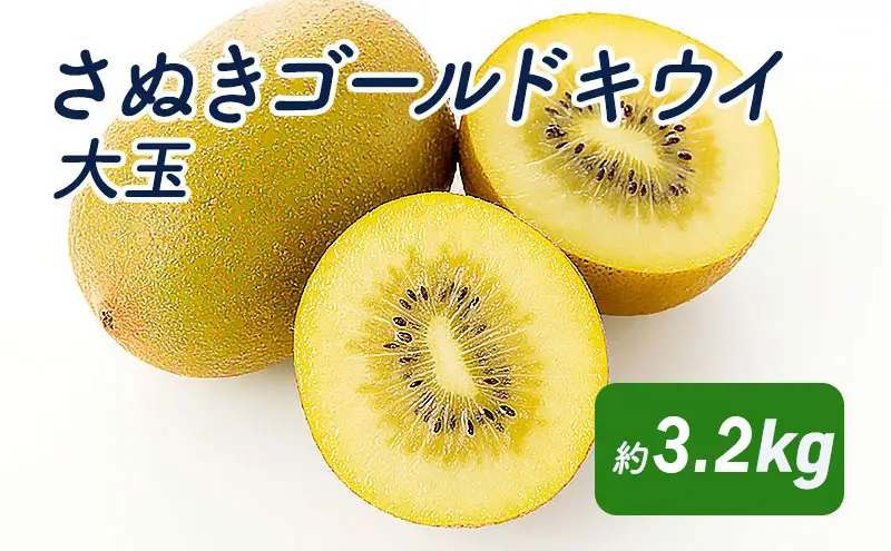 さぬきゴールドキウイ　大玉約3.2kg_キウイフルーツ 果物詰合せ くだもの 