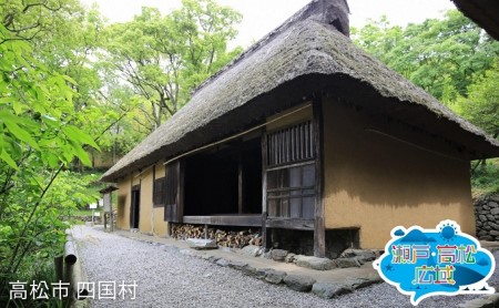 「瀬戸・たかまつネットワーク」レンタカーで巡る香川県（綾川・高松・直島方面）2日間 チケット 