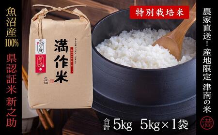 【令和8年産】県認証 魚沼津南産新之助 5kg(5kg×1袋) 産地限定！農家直送 |津南町 魚沼産 コシヒカリ