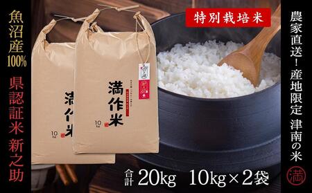 【令和8年産】県認証 魚沼津南産新之助 20kg(10kg×2袋) 産地限定！農家直送 |津南町 魚沼産 コシヒカリ