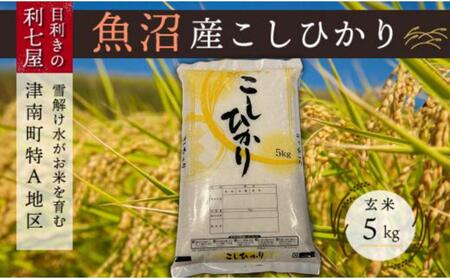 【6ヶ月定期便】魚沼産コシヒカリ 玄米5kg ※2025年10月以降発送予定 |津南町 魚沼