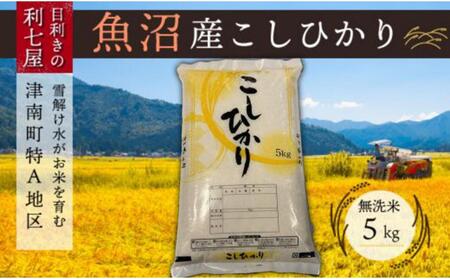 【9ヶ月定期便】魚沼産コシヒカリ 無洗米5kg ※2025年10月以降発送予定 |津南町 魚沼