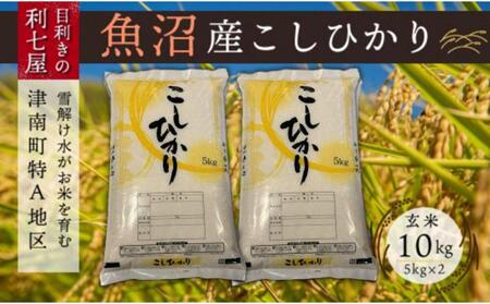 【3ヶ月定期便】魚沼産コシヒカリ 玄米10kg (5kg×2袋) ※2025年10月以降発送予定 |津南町 魚沼