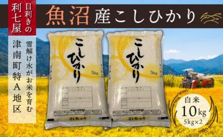 【9ヶ月定期便】魚沼産コシヒカリ 白米10kg (5kg×2袋) ※2025年10月以降発送予定 |津南町 魚沼
