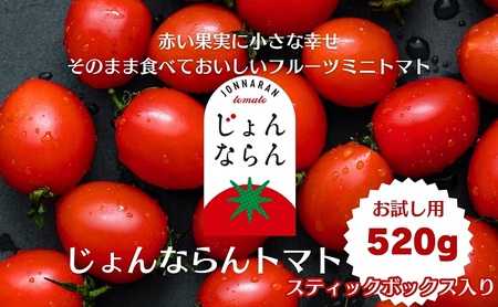 ミニトマト じょんならん モリヒロ園芸 スティック入 ミニトマト