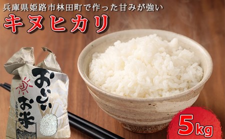 お米 キヌヒカリ 5kg 減農薬 もっちり お米