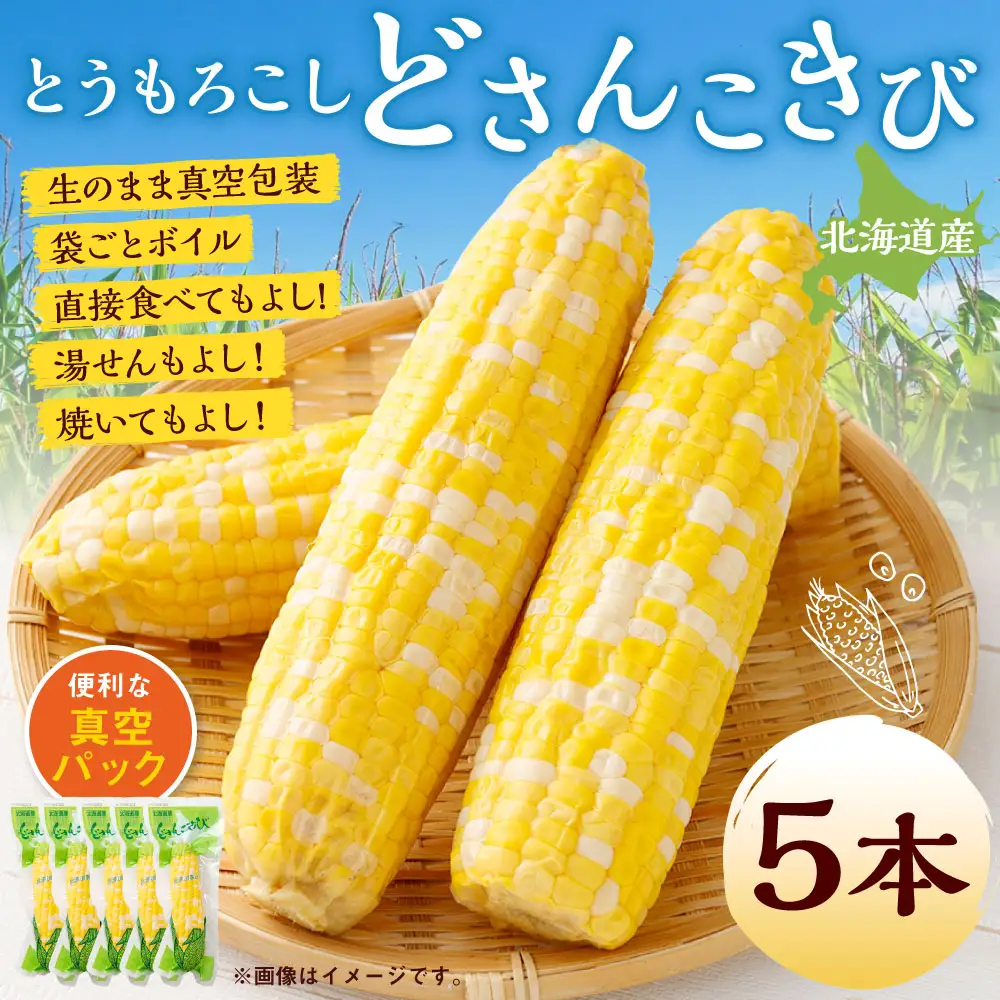 北海道産 とうもろこし 5本 どさんこきび 