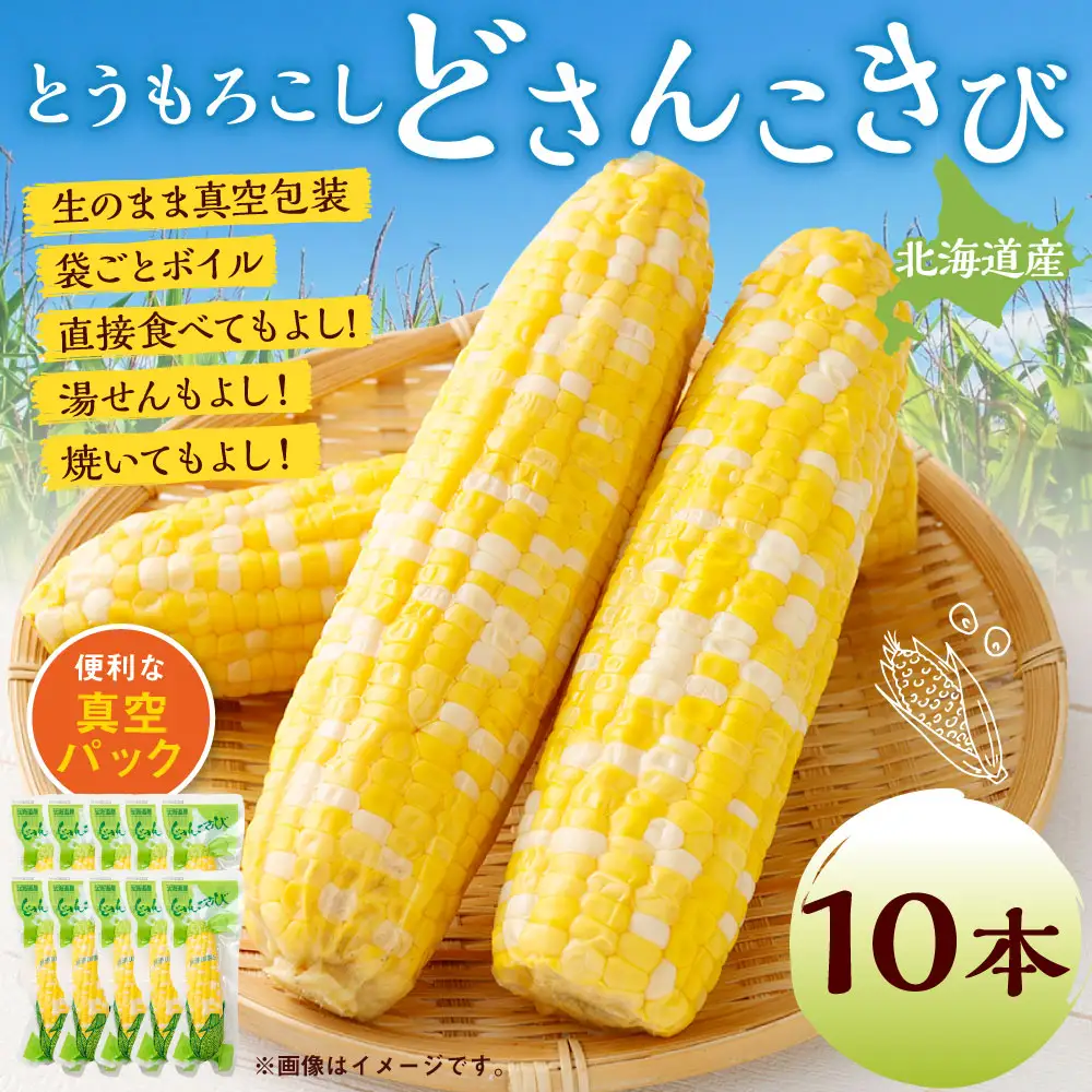 北海道産 とうもろこし 10本 どさんこきび 