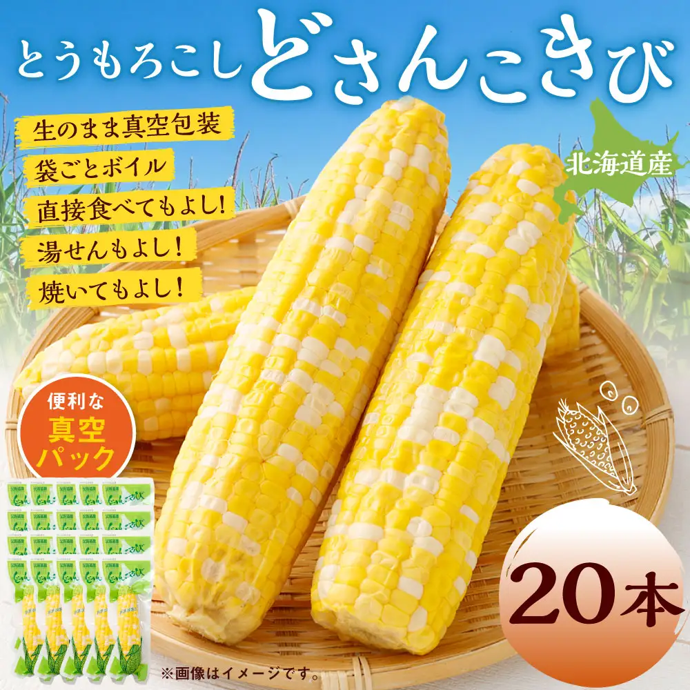 北海道産 とうもろこし 20本 どさんこきび 