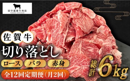 【月2回発送 / 6ヶ月お届け】全12回定期便 佐賀牛切り落とし500g HBH134 切り落とし 佐賀牛 国産 和牛