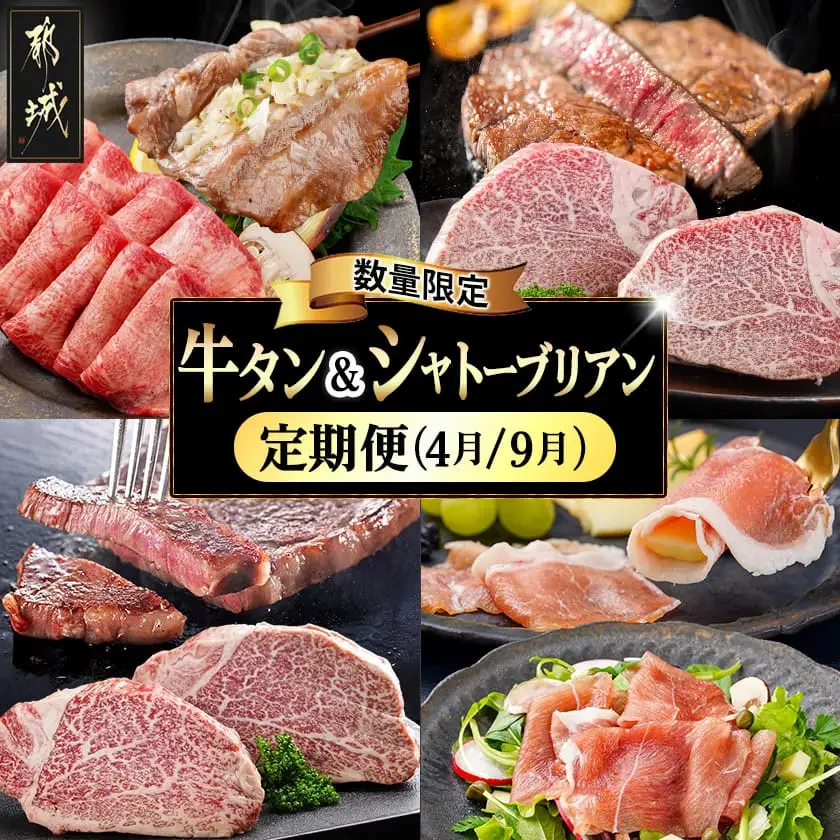 【数量限定】牛タン&シャトーブリアンが届く贅沢定期便〔TMM2-0101〕_(都城市) ヒレ 牛タン シャトーブリアン 豚生ハム 期間限定 A5