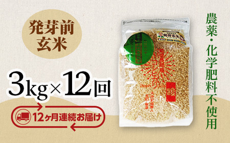 E1-H03ZB【12ヶ月連続お届け】新潟県長岡産コシヒカリ 発芽前玄米 3kg