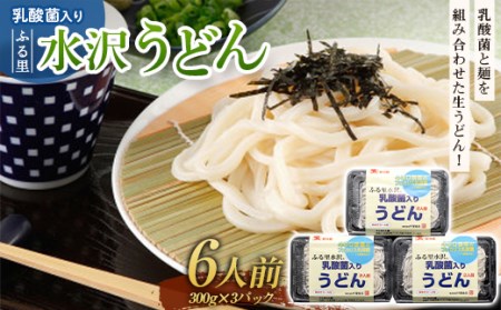 乳酸菌入りふる里水沢Rうどん 6人前 麺 生うどん 水沢 生饂飩 生麺 生めん F4H-0846