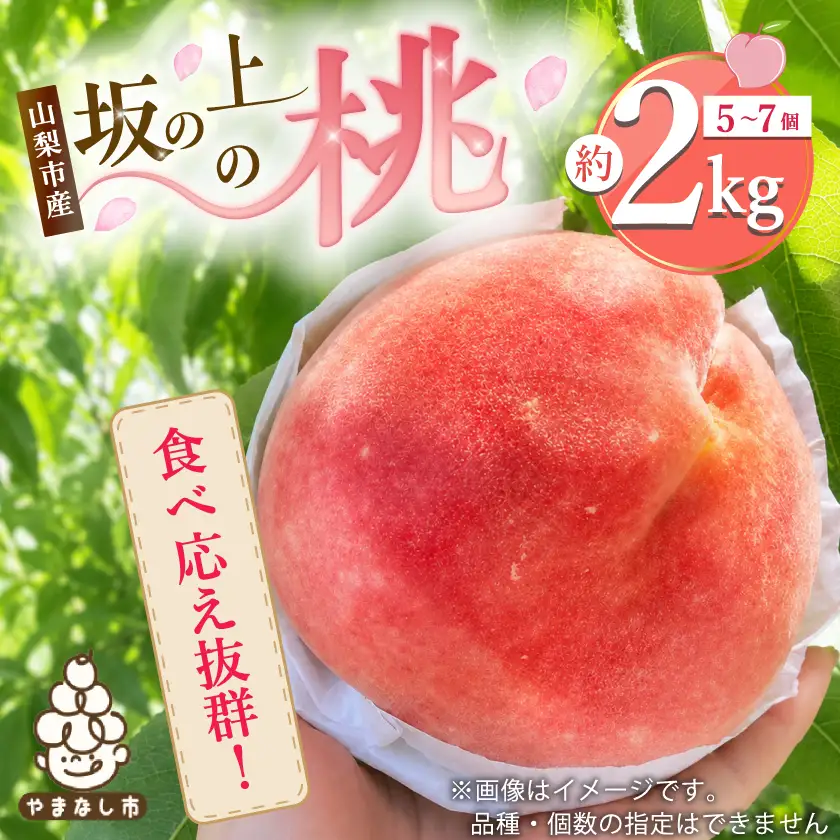 2026年発送【旬の桃 約2kg 5～7玉】 坂の上の桃 硬くて甘い! 食べ応え抜群!【配送不可地域：離島】【1264617】