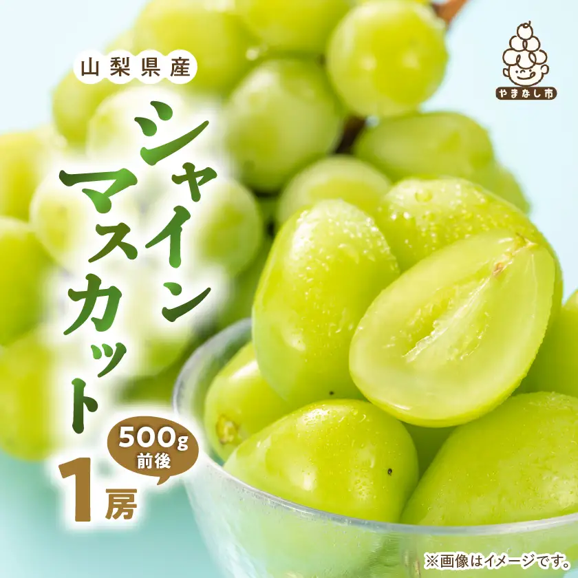 シャインマスカット1房(500g前後 ふるさと納税)【配送不可地域：離島・沖縄県】【1280518】