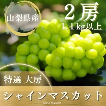 【2026年発送】シャインマスカット 2房 1.1kg以上 山梨県 山梨市産【配送不可地域：離島】【1364649】