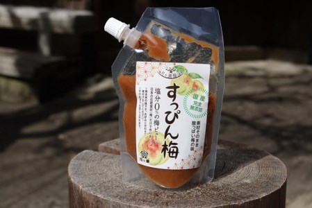 【梅ピューレ】（200g×5個） 月ヶ瀬梅渓すっぴん梅 塩分0パーセント 梅ピューレ U-77