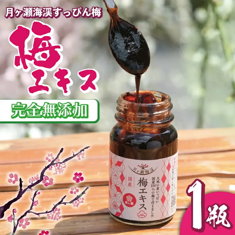 【梅エキス】65g 月ヶ瀬梅渓名産 梅 I-247
