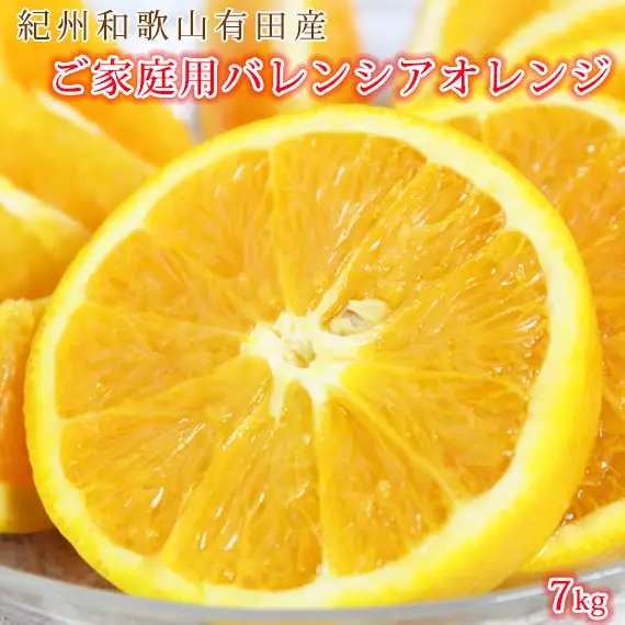 【2027年先行予約】希少な 国産 バレンシアオレンジ 7kg 【家庭用 訳あり】【国産オレンジ オレンジ 柑橘 フルーツ 和歌山 有田】_G7080