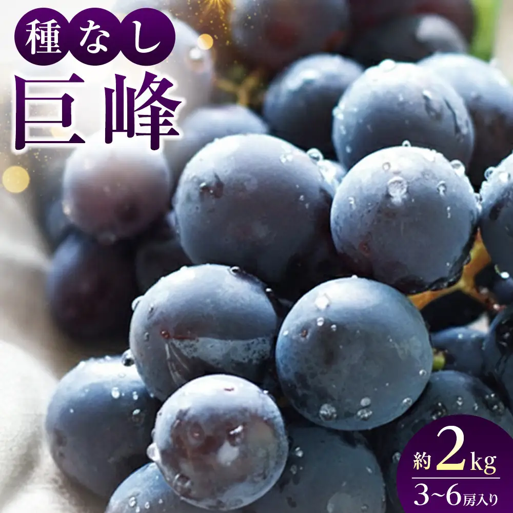 2026年産 ぶどう  種なし 巨峰 約 2kg 箱3～6房入り 巨峰種無し フルーツ 果物 旬 ブドウ 葡萄 おやつ 信州 長野県 長野市 2026年 秋発送 長野県長野市 | 巨峰種無し フルーツ 果物 旬 ブドウ 葡萄 信州 長野県 長野市 2026年 秋発送 長野県長野市 ぶどう 種なし フルーツ 人気 おすすめ   送料無料  長野県 長野市 信州 信濃 ふるさと納税