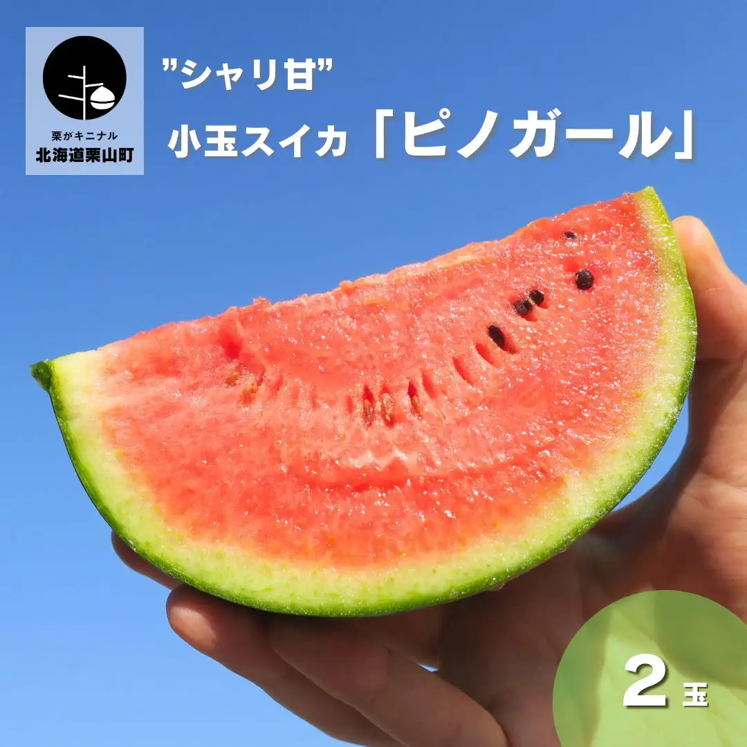 小玉スイカ「ピノガール」2玉　北海道産”シャリ甘”