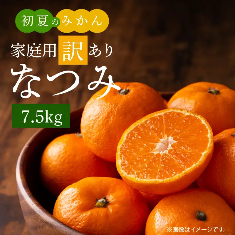 【2027年先行予約】初夏のみかん なつみ 7.5kg【家庭用 訳あり】【ミカン 蜜柑 柑橘 和歌山 有田 南津海】_G7073